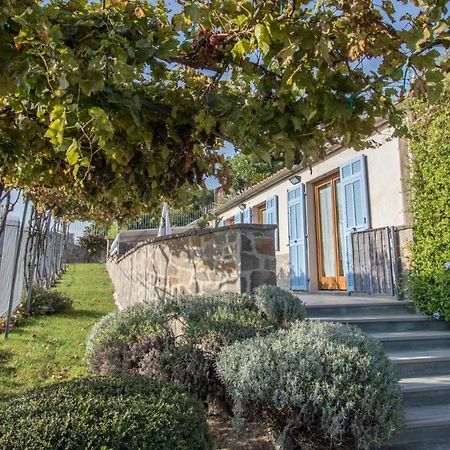 Villa Vigna Camporosso  Εξωτερικό φωτογραφία